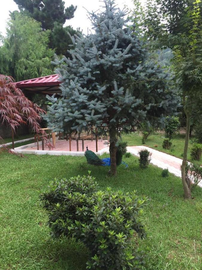 Vacation Home Nukri Gonio Dış mekan fotoğraf