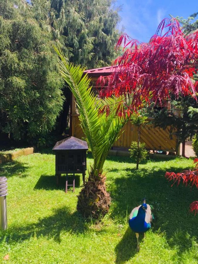 Vacation Home Nukri Gonio Dış mekan fotoğraf